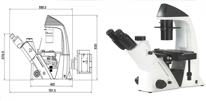 100 - système optique Trinocular inversé LED de microscope biologique de 400X