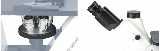 100 - système optique Trinocular inversé LED de microscope biologique de 400X