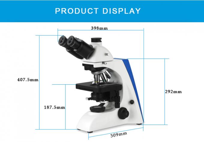 Microscope composé de BK6000 Trinocular Digital avec l'écran visuel d'affichage à cristaux liquides