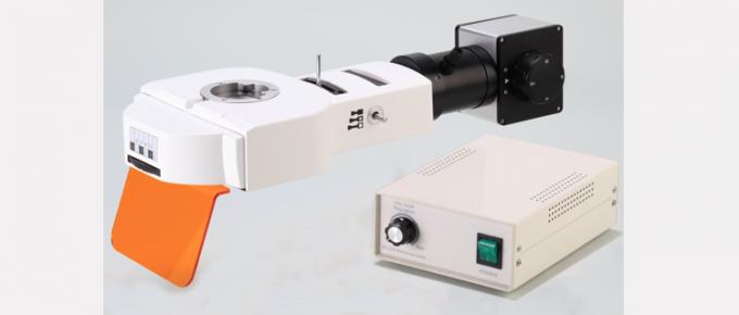 Microscope de fluorescence droit optique d'infini binoculaire/tête de Trinocular