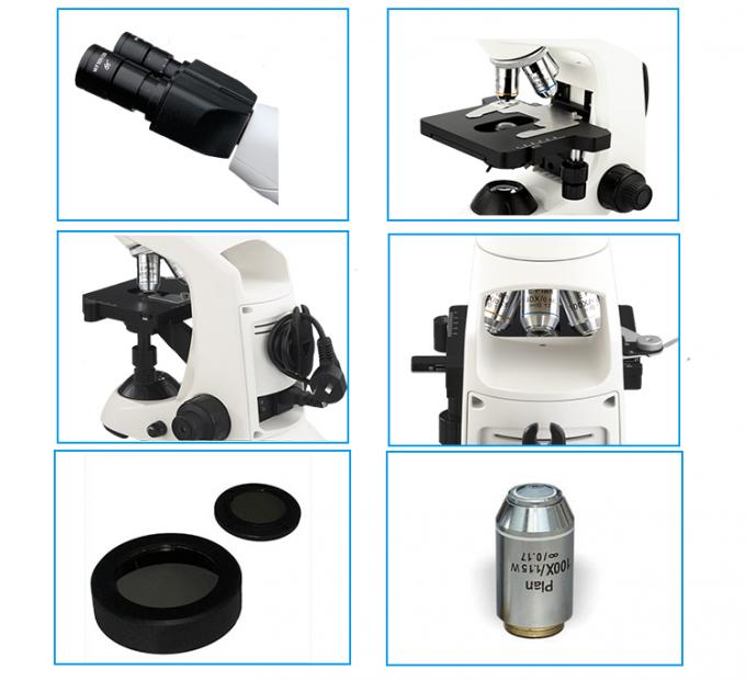 Microscope composé optique de Trinocular d'infini/microscope professionnel de catégorie