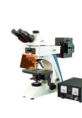 Chine Microscope de fluorescence droit optique d'infini binoculaire/tête de Trinocular fournisseur