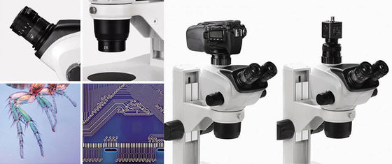 Chine Les divers accessoires de Trinocular de microscope stéréo binoculaire de bourdonnement accomplissent la fonction fournisseur