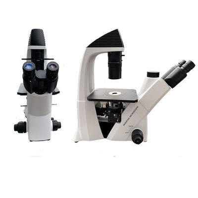 Chine 100 - système optique Trinocular inversé LED de microscope biologique de 400X fournisseur