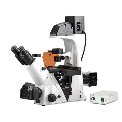 Chine Trinocular a inversé le microscope biologique de contraste de phase de fluorescence d'Epi de microscope biologique fournisseur